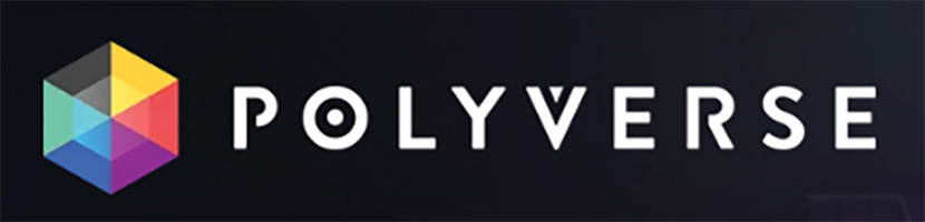 Polyverse logo