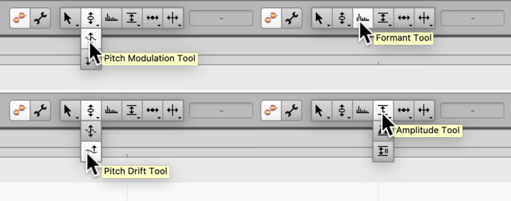 Melodyne pitch, formant, and amplitude edit tools