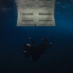 2026 Grammy Mastering Analysis: A Closer Look at the LUFS, Loudness, and Dynamics of the Record of the Year Nominees 14 wildflower