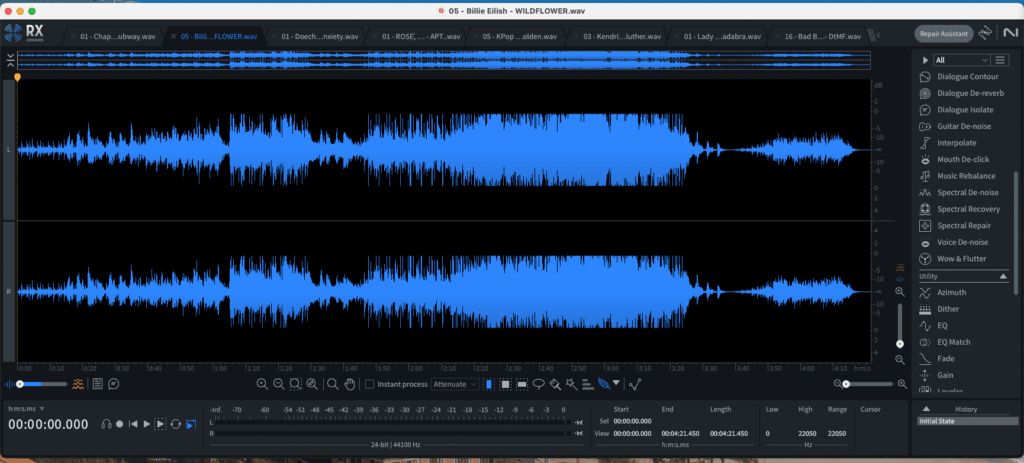 2026 Grammy Mastering Analysis: A Closer Look at the LUFS, Loudness, and Dynamics of the Record of the Year Nominees 15 wildflower izotopewav e1769367486905